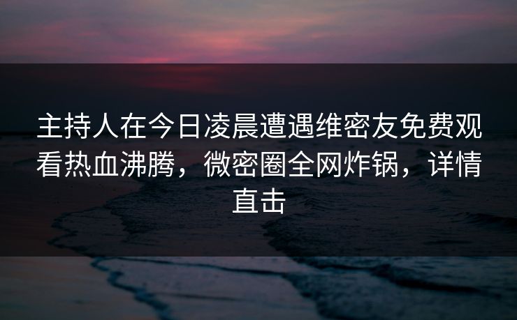 主持人在今日凌晨遭遇维密友免费观看热血沸腾，微密圈全网炸锅，详情直击
