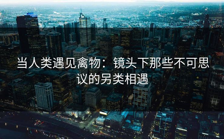 当人类遇见禽物：镜头下那些不可思议的另类相遇  第1张