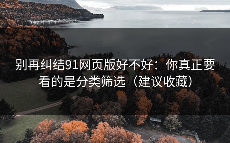 别再纠结91网页版好不好:你真正要看的是分类筛选(建议收藏)