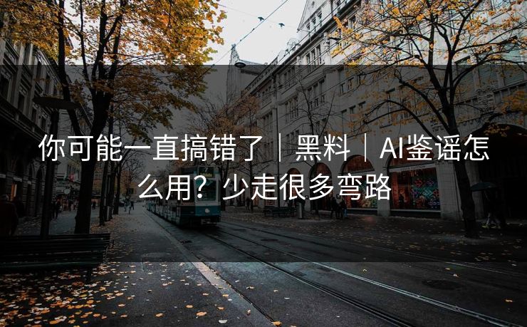 你可能一直搞错了｜黑料｜AI鉴谣怎么用？少走很多弯路