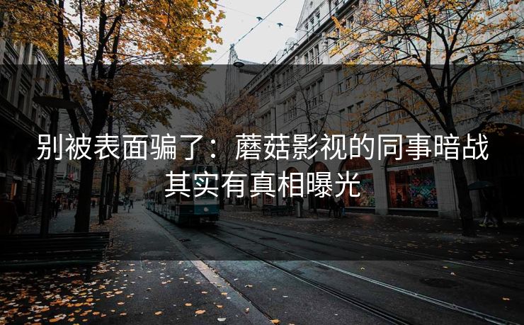 别被表面骗了：蘑菇影视的同事暗战其实有真相曝光